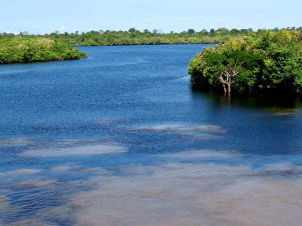 Natureza