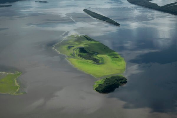 Ilha