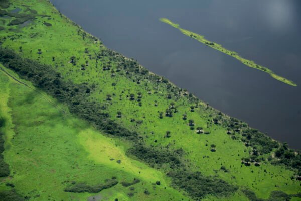 Floresta Amazônica
