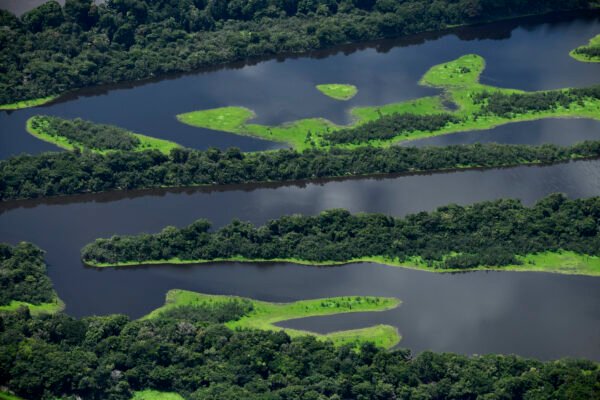 Natureza Amazônica