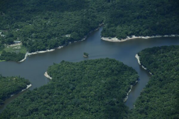 Floresta Anavilhanas