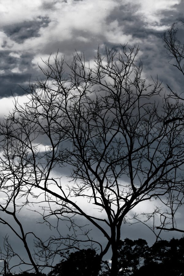 Natureza