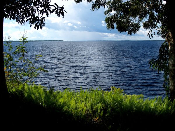 Natureza