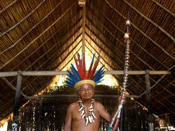 Cacique - Povos Originários