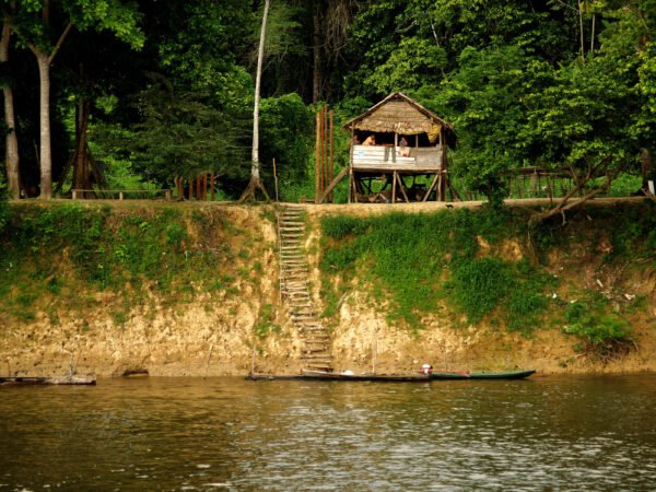 Natureza