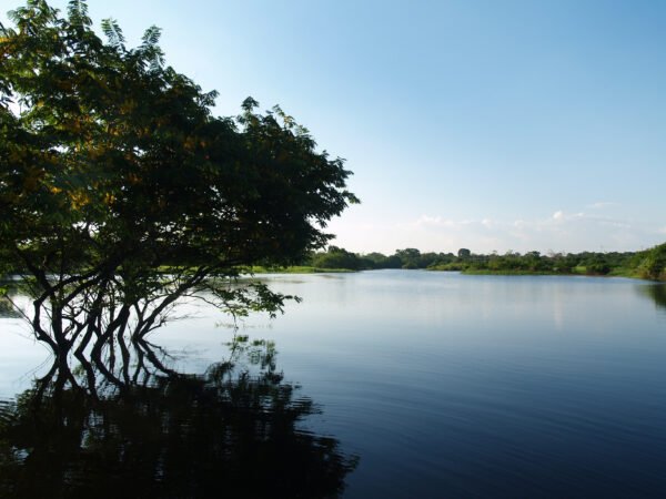 Natureza